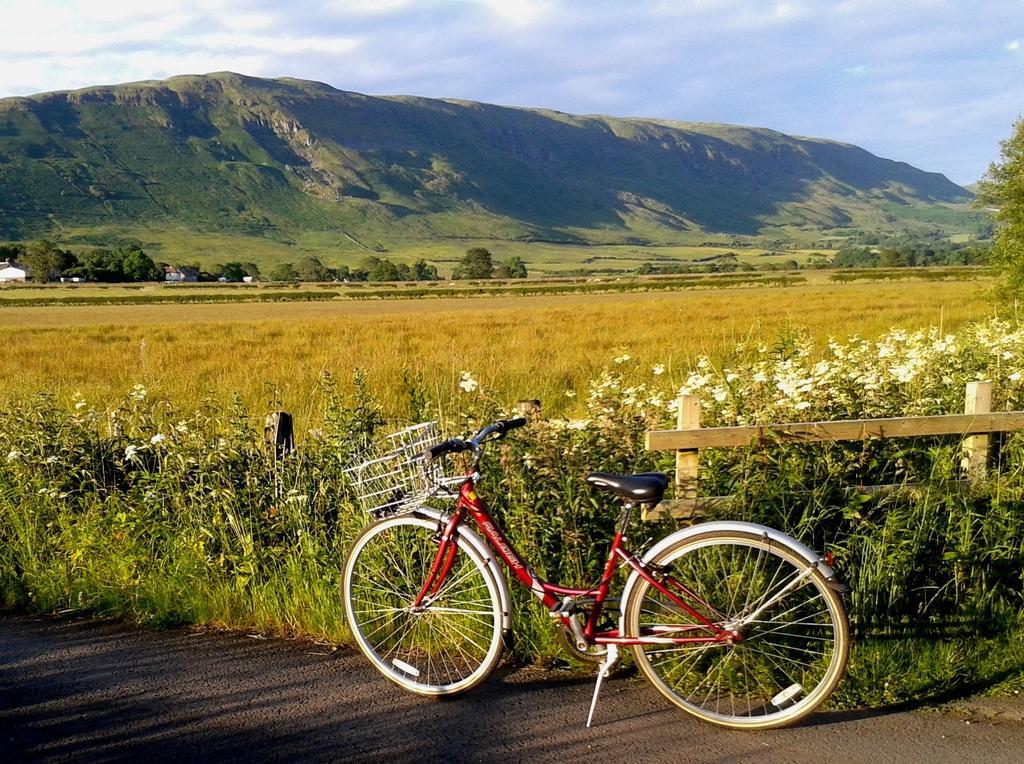 Dingieshowe Cottage Lennoxtown Bagian luar foto